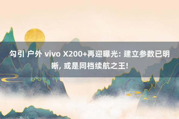 勾引 户外 vivo X200+再迎曝光: 建立参数已明晰， 或是同档续航之王!