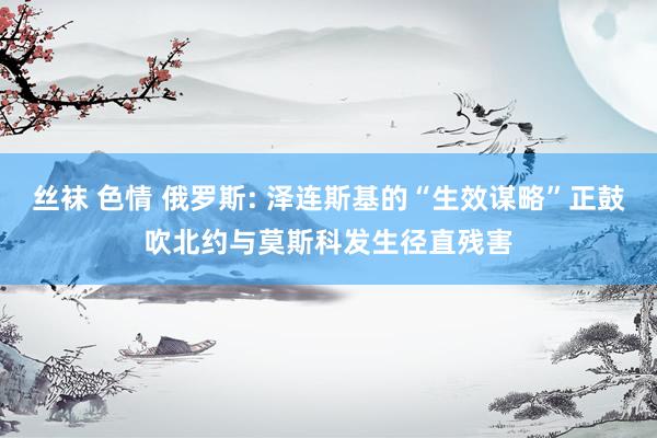 丝袜 色情 俄罗斯: 泽连斯基的“生效谋略”正鼓吹北约与莫斯科发生径直残害