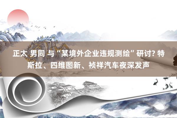 正太 男同 与“某境外企业违规测绘”研讨? 特斯拉、四维图新、祯祥汽车夜深发声