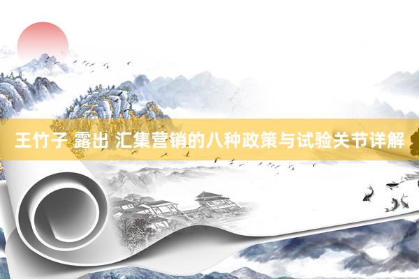 王竹子 露出 汇集营销的八种政策与试验关节详解