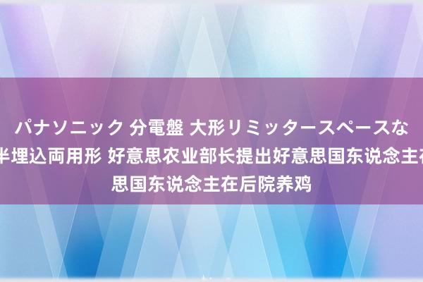 パナソニック 分電盤 大形リミッタースペースなし 露出・半埋込両用形 好意思农业部长提出好意思国东说念主在后院养鸡